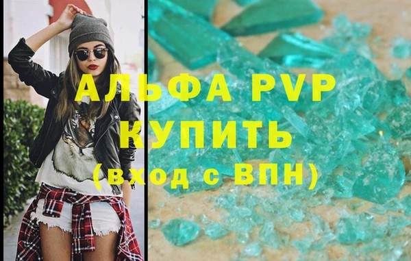 spice Бородино