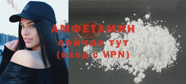 шишки Корсаков