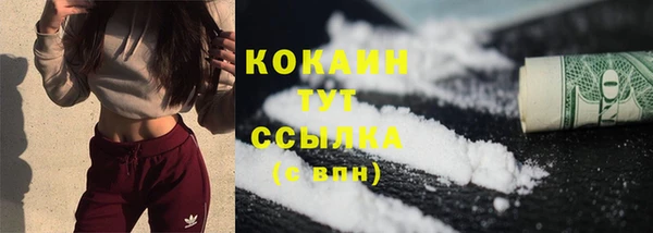молекула духа Бронницы