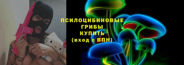 молекула духа Бронницы