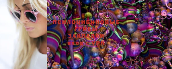 spice Бородино