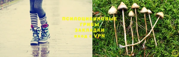 молекула духа Бронницы